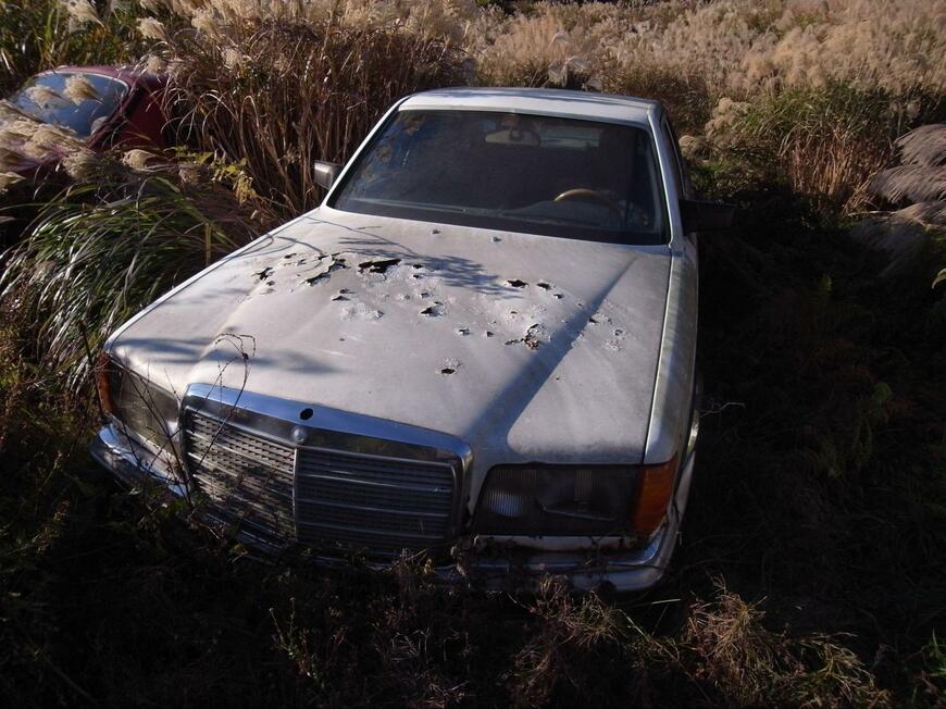 出所：@81busbbou6