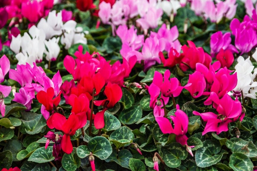 Travel Faery/istockphoto.com