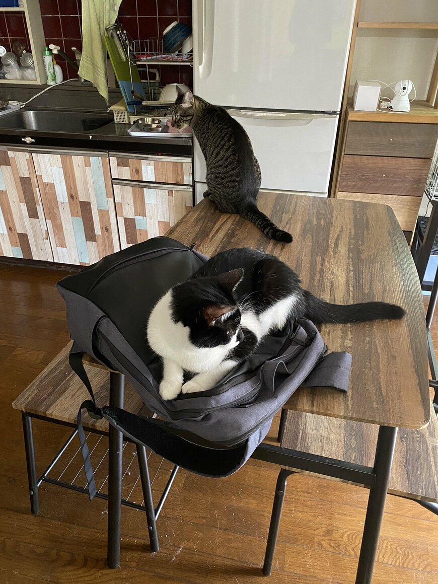 出所：@00shitemita