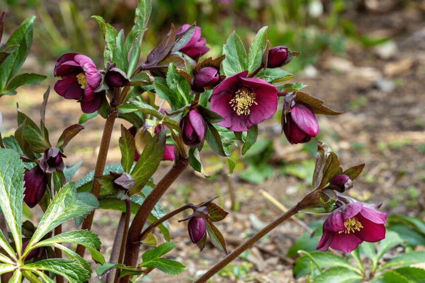 Billy_Fam/istockphoto.com