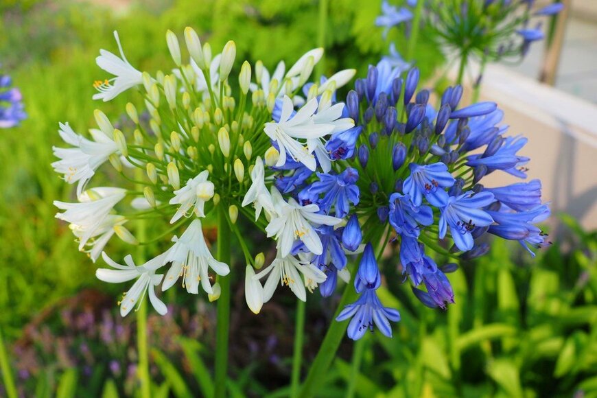 oasis2me/istockphoto.com