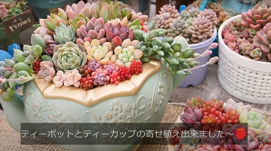 出所：@oliveandsucculentgarden