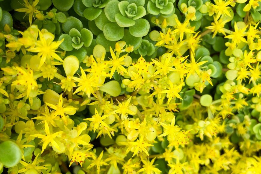 htmSana/istockphoto.com