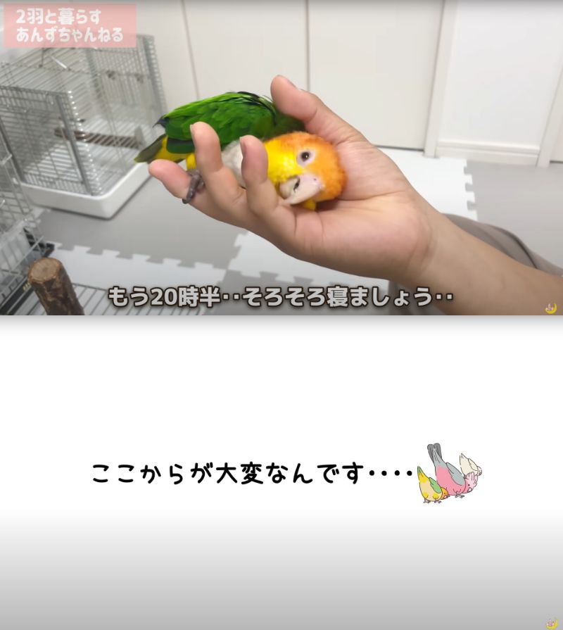 出所：@anz_omomiri