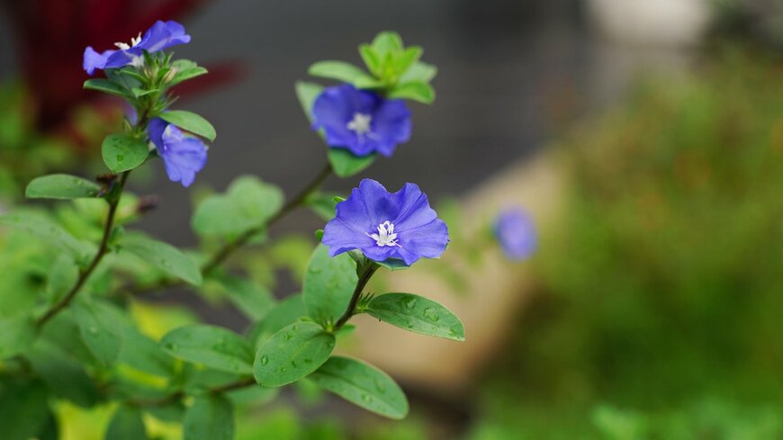 wahid hasyim asyari/istockphoto.com