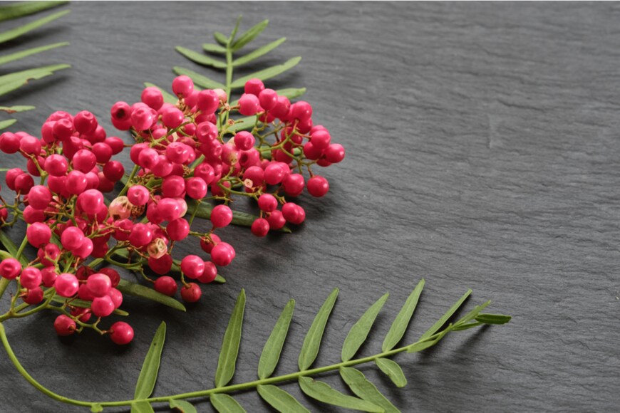 Olya_Beli_Art/shutterstock.com 