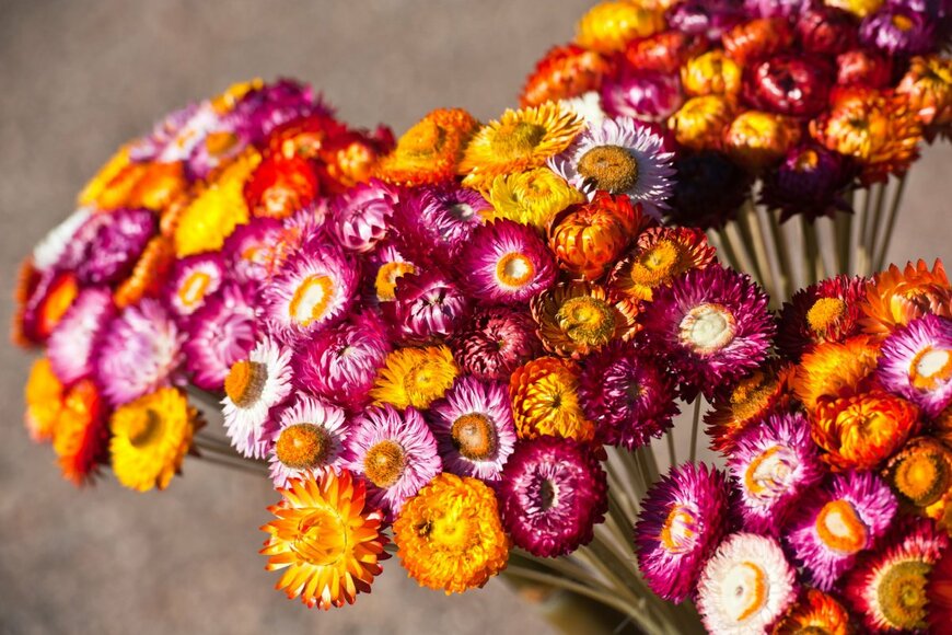 tratong/shutterstock.com