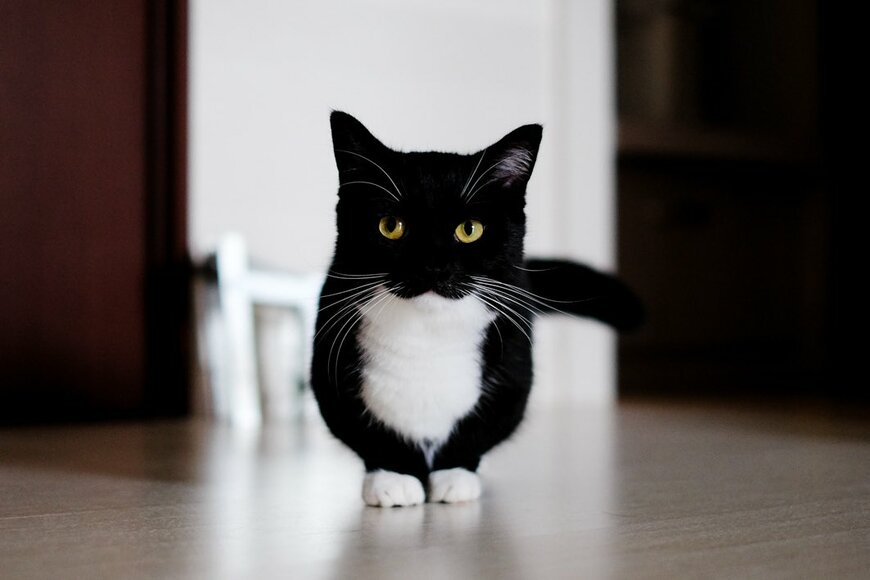 出所：＠unicouniuni3