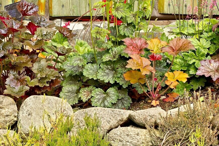 danako/istockphoto.com