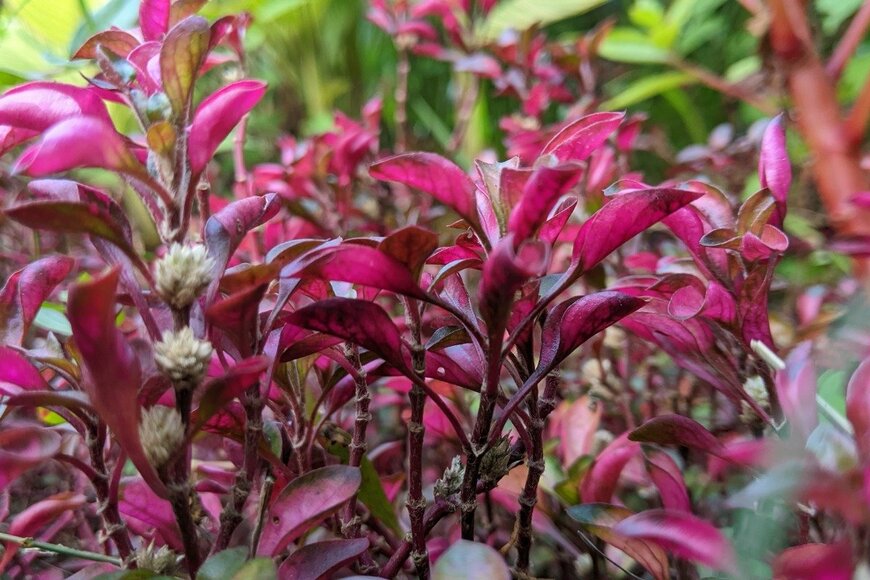 Masnug/istockphoto.com