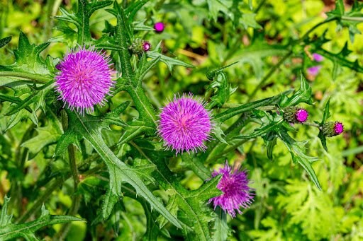 billysfam/shutterstock.com