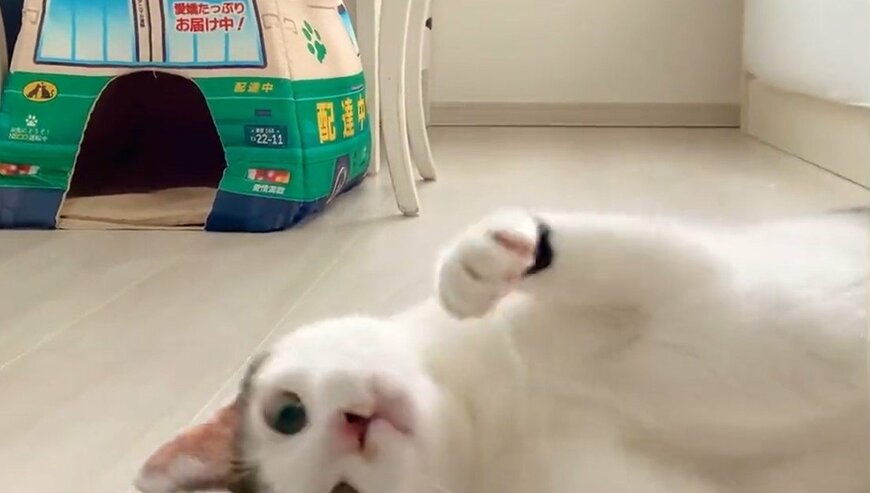 出所：@Saeroyi_cat