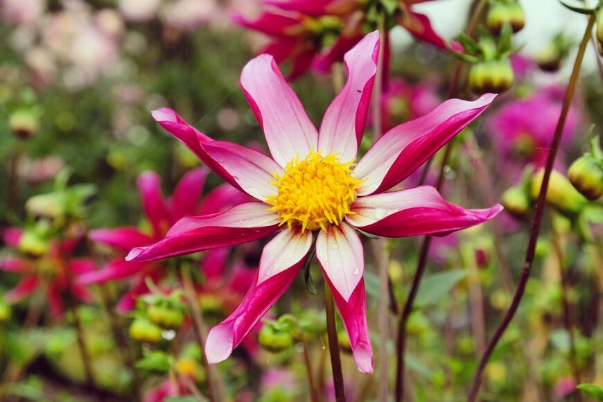 Alex Manders/shutterstock.com