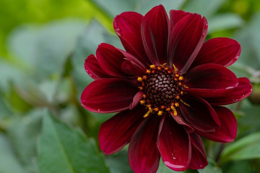 kinpouge05/istockphoto.com