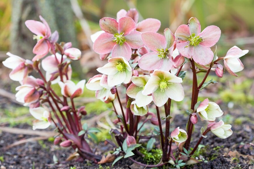 PaulMaguire/istockphoto.com