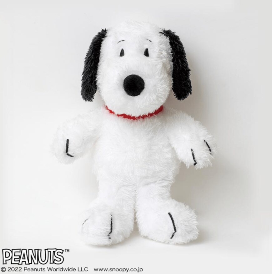 画像出典：宝島社公式