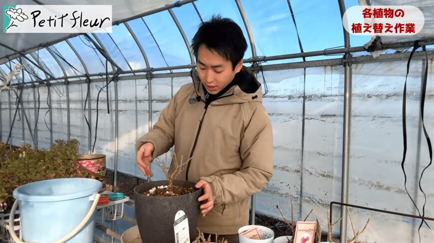 出所：@petit_fleur