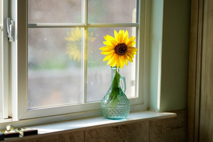 Olena Moskvyak/Shutterstock.com