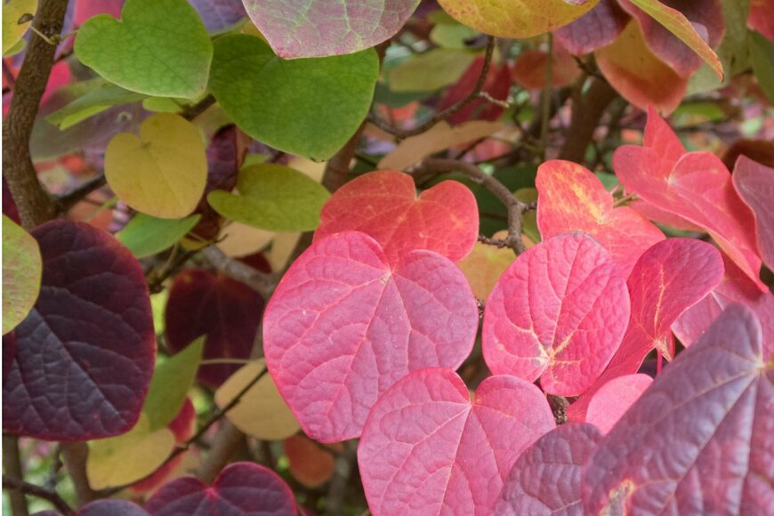 Peter Turner Photography/shutterstock.com