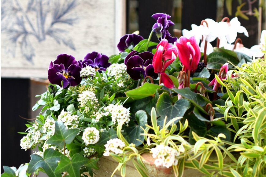 yuri-ss/shutterstock.com