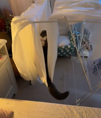 出所：@omochiomoching