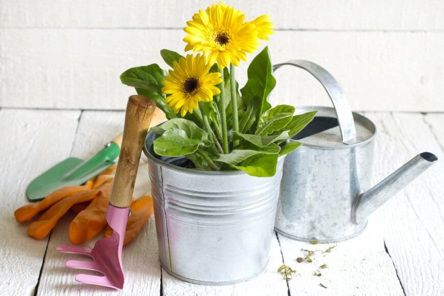 黄色いガーベラが咲いている鉢植えと、じょうろ、スコップなどのガーデニング用品