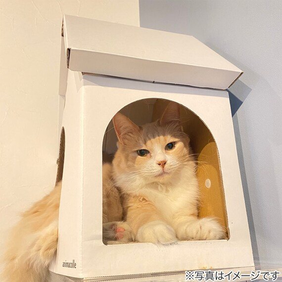 ニトリ、キャットステップanimacolle用爪とぎキャットハウス画像