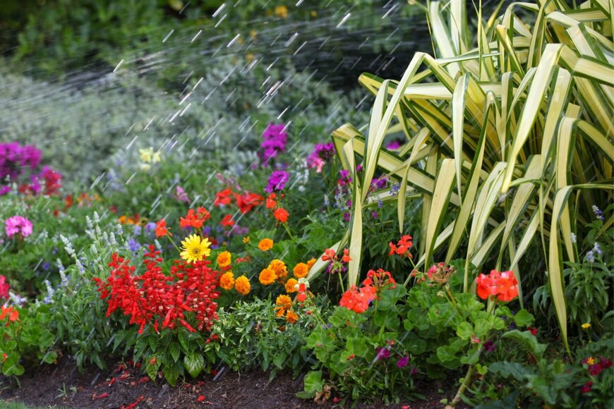 庭にカラフルな花やリーフプランツが地植えされている。