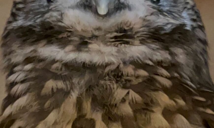 投稿動画のワンシーン