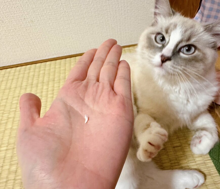 【写真全2枚/1枚目】キレイに抜けた乳歯と満足そうなピノちゃん