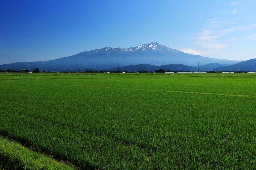 山形県の庄内平野