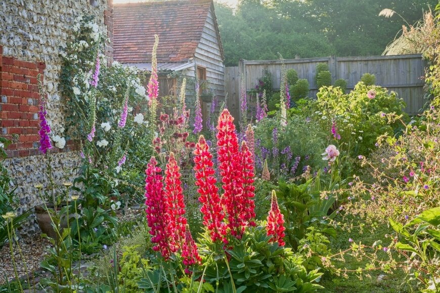 赤や紫、ピンクなどの夏の花が咲くイングリッシュガーデン