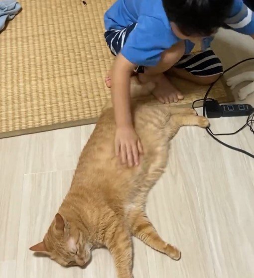 台風で休校の子供と猫