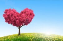 幸せな「さいご」にどう寄り添うか～終末期を支える介護のすがた～