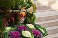 【ガーデニング】新年の玄関はハボタンで華やかに！　ハボタンの育て方やバリエーション豊富な品種を紹介