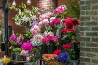 花屋のドアに貼られたメッセージを思わず二度見　通行人の心を掴んだイラストに「これは入っちゃう」