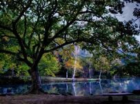 【生前墓】お墓は生きているうちに決める時代へ、抵抗感ない人は7割超・倉本聰さんも実践