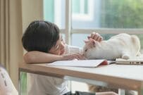猫に愛を伝える1歳児→猫の「虚無顔」に笑っちゃう！「ぬいぐるみ？（笑） 」とホッコリする人が続出