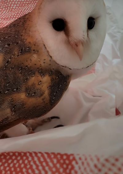 投稿動画のワンシーン