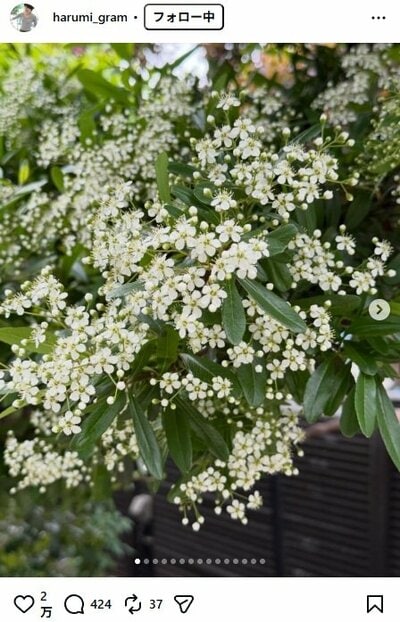 栗原はるみのInstagram投稿