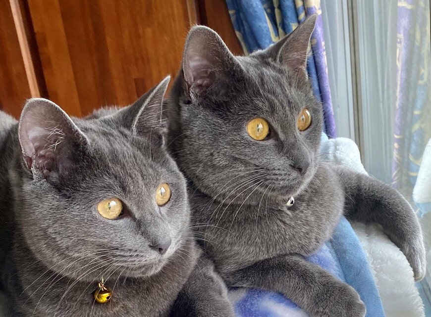 出所：@luna7taka9