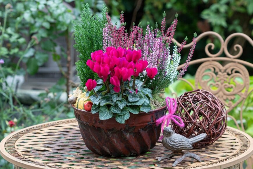 Natalia Greeske/shutterstock.com