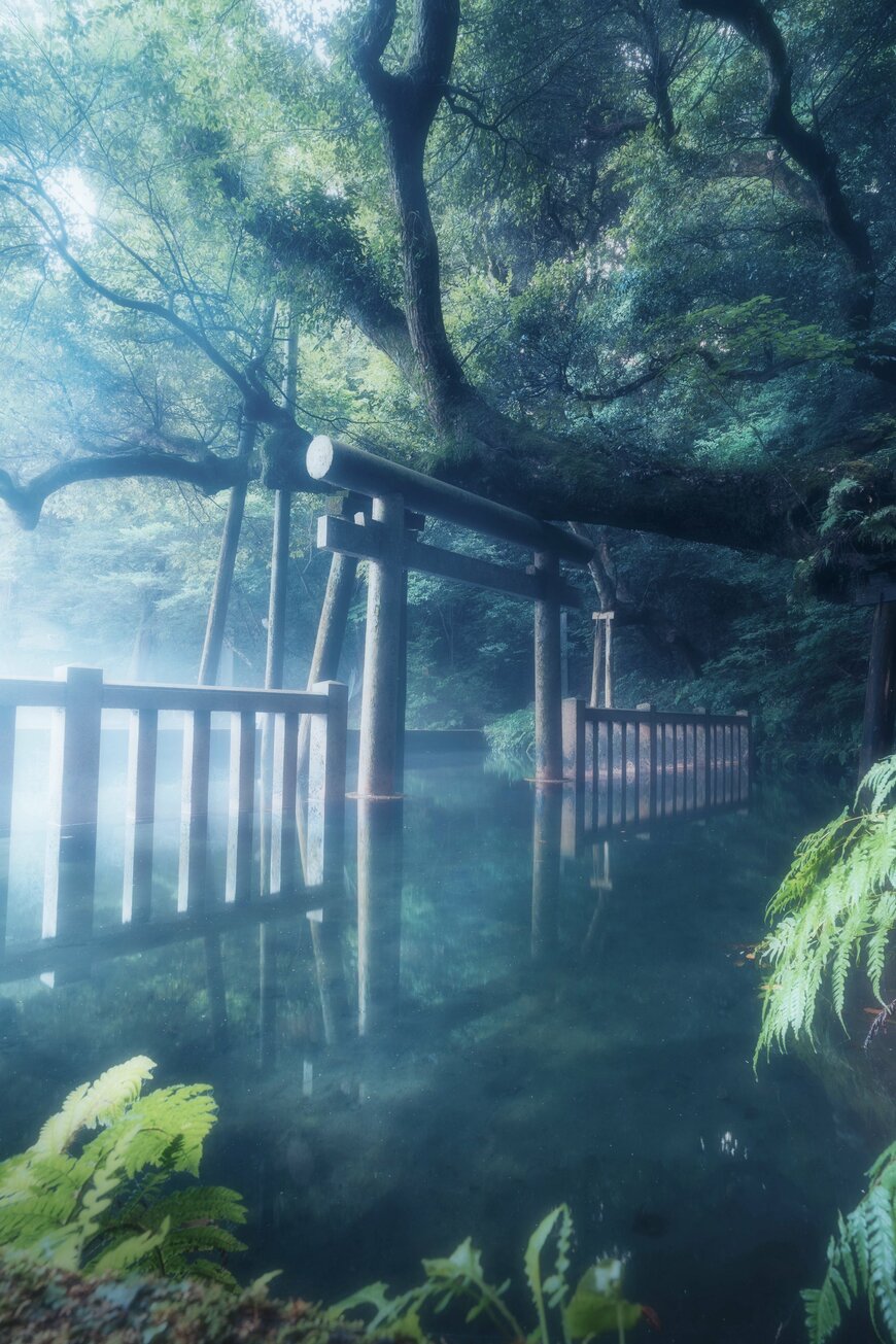 出所：@pomu_iyashi