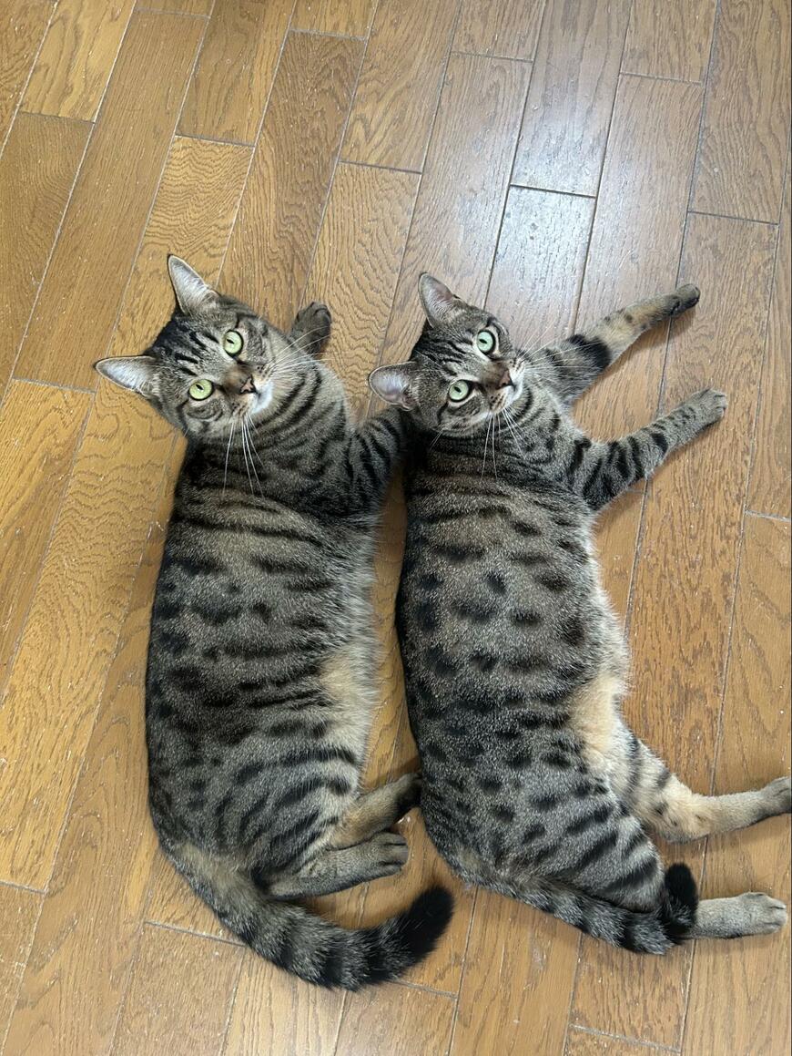 出所：@tomeji1106