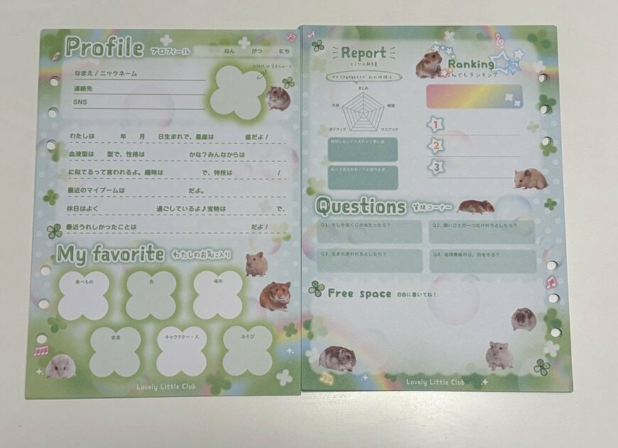筆者撮影（セリア、A5カスタムノートリフィルプロフィール帳 18P Lovely Little Club）