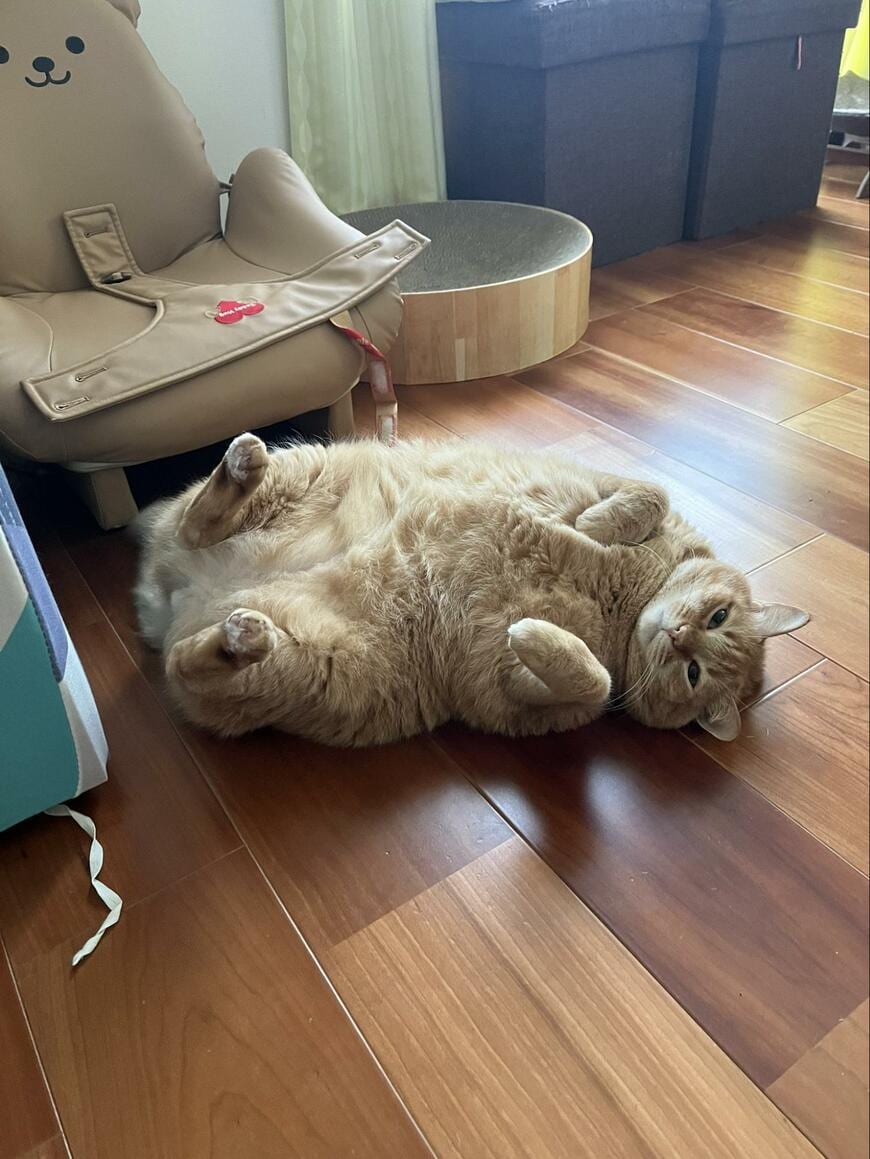 出所：@kagisuzu0531