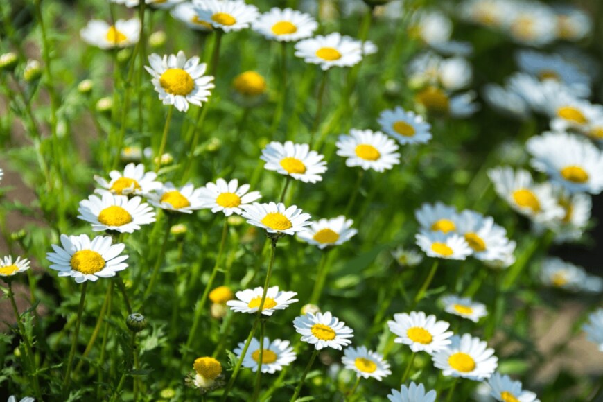 Kazzpix/istockohoto.com