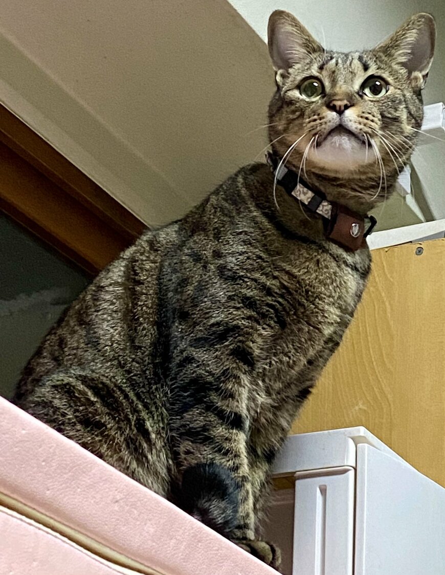 出所：@luna7taka9