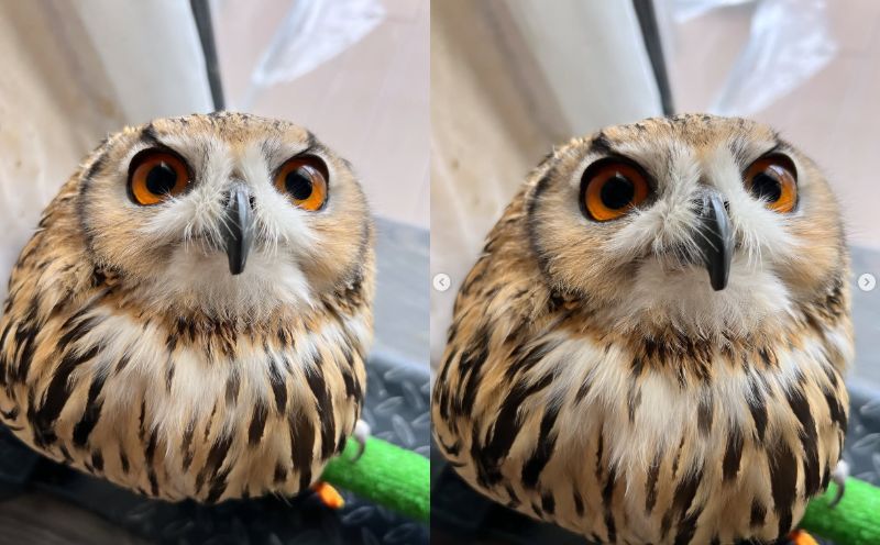 出所：@ba_chantolatte