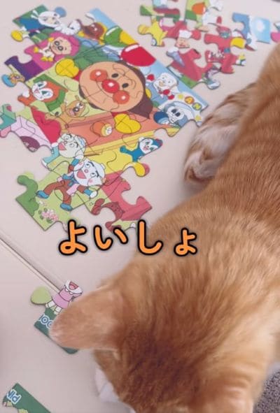 出所：＠miko_nekoneko